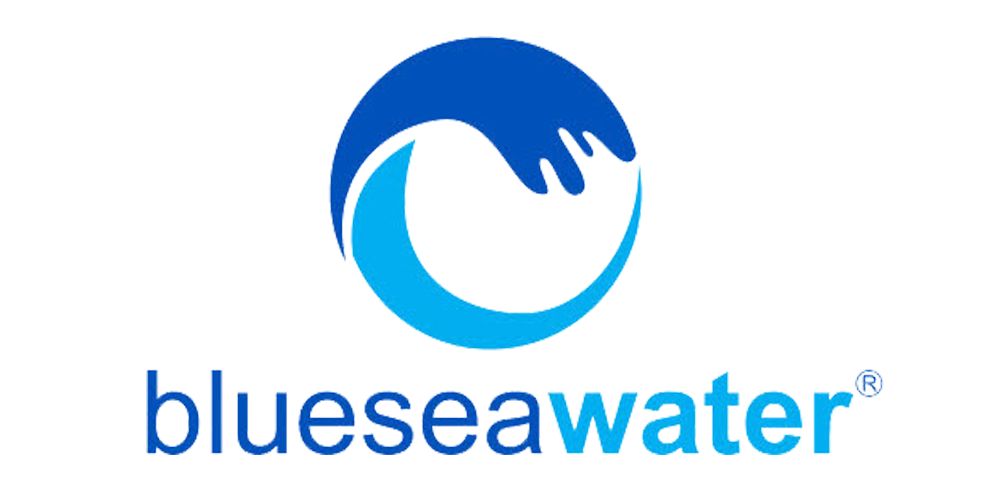 Công ty BlueSea